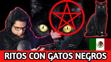 La Brujer A Y Ritos Con Gatos Negros En M Xico Youtube