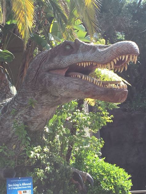 Jurassic Park @ Universal Studios, California | Jurassic park, Jurrasic ...