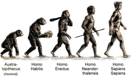 Evolution Of Modern Humans The Homo Sapiens Sapiens