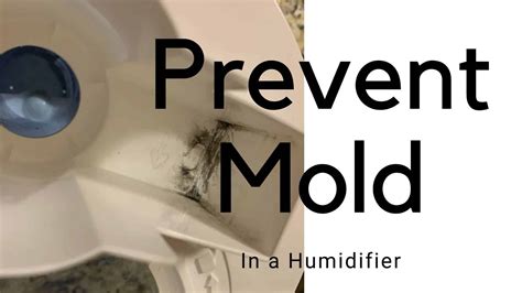 How To Prevent Mold In A Humidifier Hvac Boss