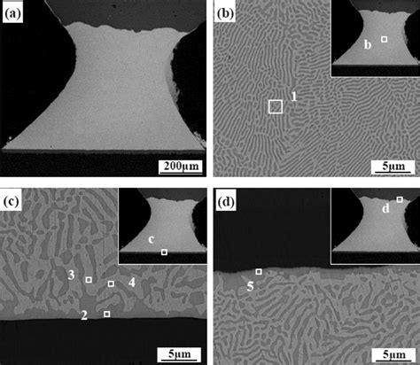 Microstructure of original solder joint: a The overall microstructure ...