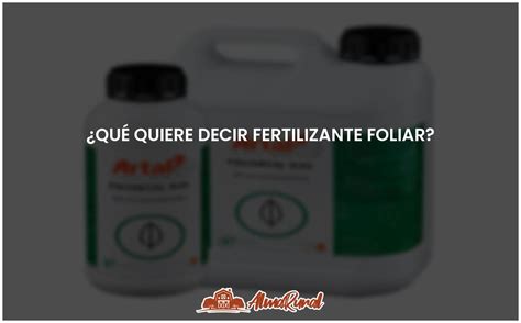 Significado Y Beneficios Del Fertilizante Foliar ALMARURAL