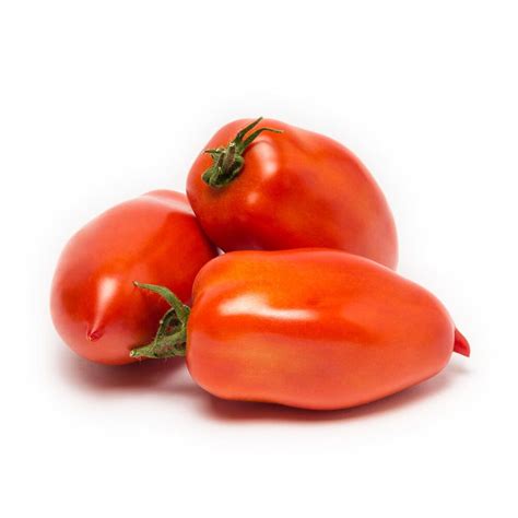 Produzione Piante Di Pomodoro San Marzano Incas