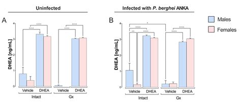 Ijms Free Full Text Dhea Induces Sex Associated Differential