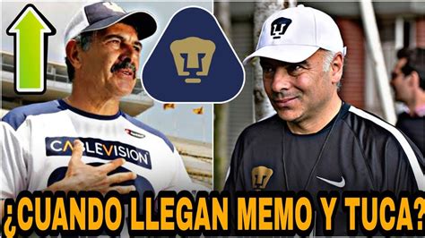 ¿si Viene🔥tuca Ferretti Nuevo Dt De Pumas LlegarÍa A Pumas Refuerzos Pumas 202 Youtube