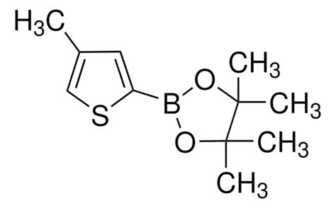 4 Methylthiophene 2 Boronic Acid Pinacol Ester 97 635305 48 5