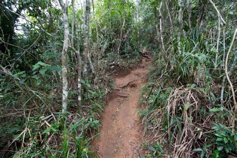 Hiking Pedra da Gávea | Halfway Anywhere