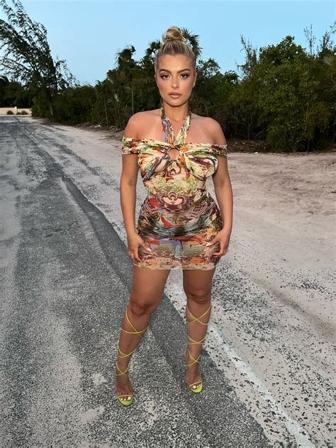 The Hottest Bebe Rexha Bikini Photos 12thBlog