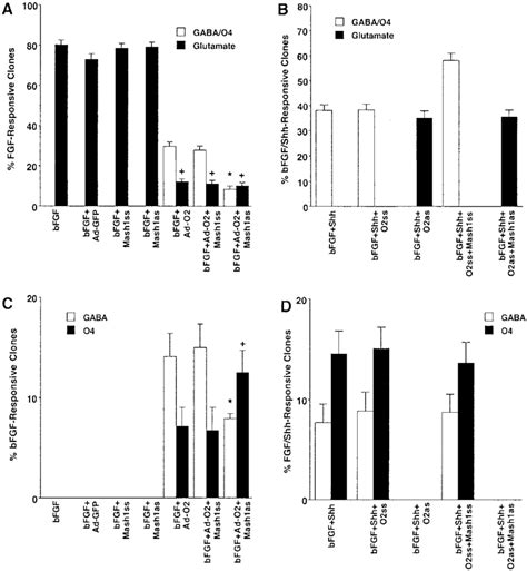 Shh Mediated Forebrain GABAergic NeuronalOL Lineage Restriction