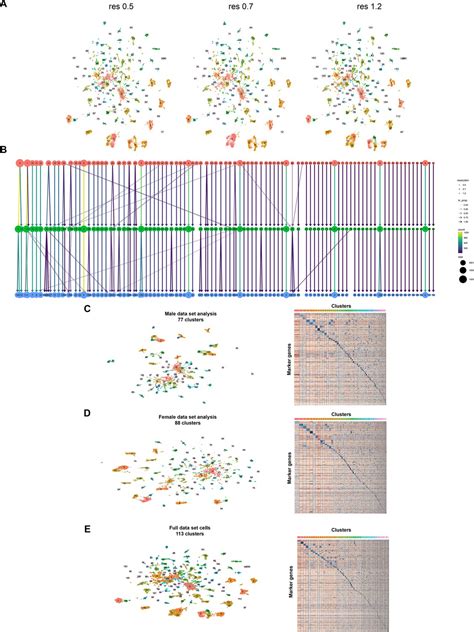 Figures And Data In Single Cell Transcriptome Profiles Of Drosophila