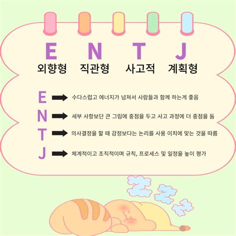 Entj 엔티제 남자 특징 총정리 성격 장단점 연애 이상형 Mbti궁합 네이버 블로그