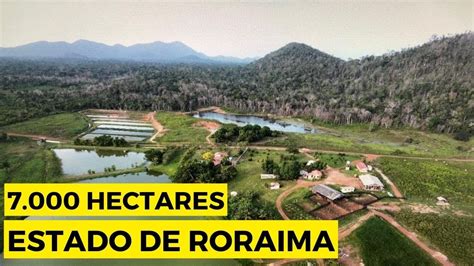 Fazenda A Venda Em Roraima Tripla Aptidao Hectares Youtube