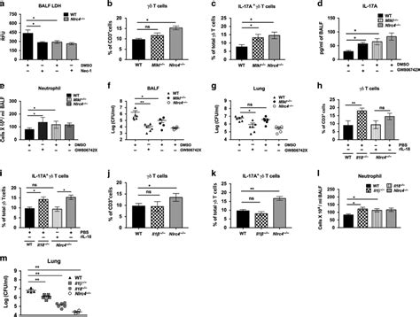 NLRC4 Driven Necroptosis And IL 18 Suppress 17A Dependent Neutrophil