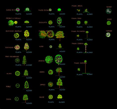 Arboles En Alzado Y Planta En Dwg Mb Librer A Cad