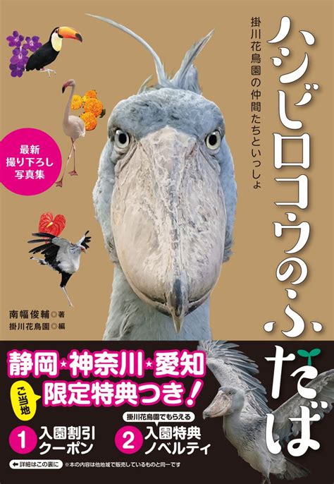 辰巳出版グループ公式面白い楽しいを追求してSince1967 on Twitter 特報 日本一有名なハシビロコウの最新写真集