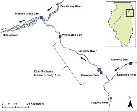 Movements and Habitat Use of River Redhorse (Moxostoma carinatum) in