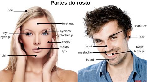 Partes Do Rosto Em Ingles - Aprenda agora todas as partes do corpo em inglês