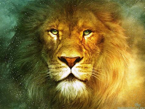 Fierce Lion Wallpapers Top Free Fierce Lion Backgrounds Wallpaperaccess