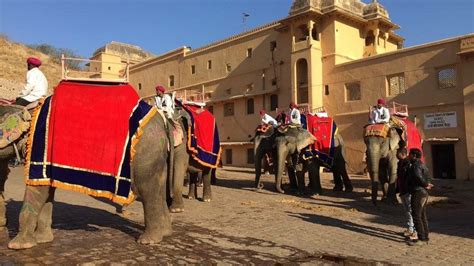 Elephant rides to Amer Fort in India. Amer Fort, Elephant Ride, Street ...