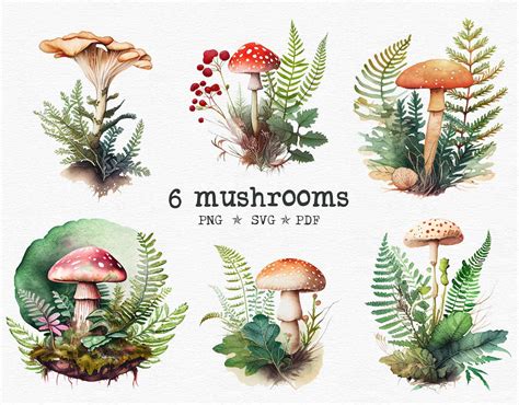 Watercolor Mushroom Svg Magic Mushroom Clipart Trendy Mushroom Png