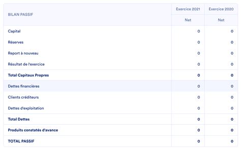 Le Bilan Comptable En Sasu Comment A Marche