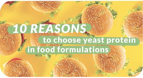 10 Reasons To Choose Yeast Protein In Food Formulations