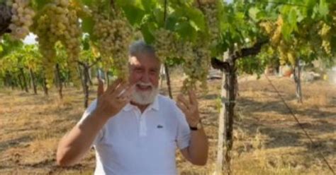 Grandi aspettative dalla vendemmia 2022 Volumi in calo ma la qualità