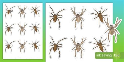 Small Spider Cut-Outs (teacher made) - Twinkl