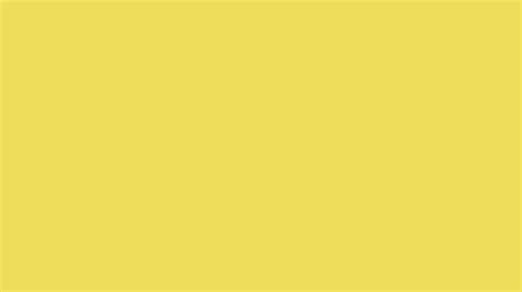 Dull Yellow Solid Color Background Image | Free Image Generator