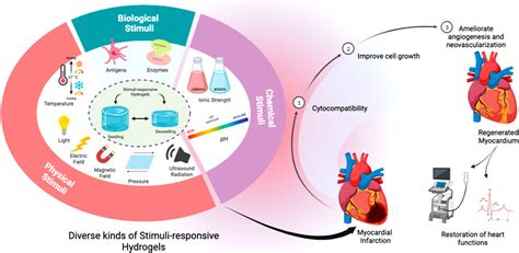 Frontiers Stimuli Responsive Hydrogels Smart State Of The Art