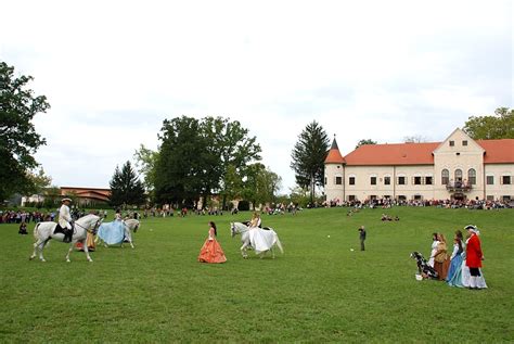 Posjetite Lu Nicu Na Dan Otvorenih Vrata Hkm