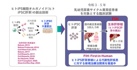 ヒトips細胞オルガノイドを用いた臨床試験 研究内容 東京大学医科学研究所 幹細胞治療研究センター 再生医学分野