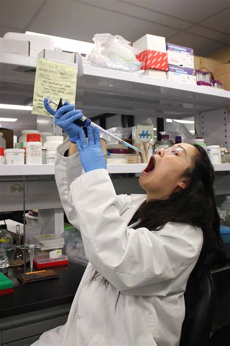 Team Concordia Montreal Team Igem Org