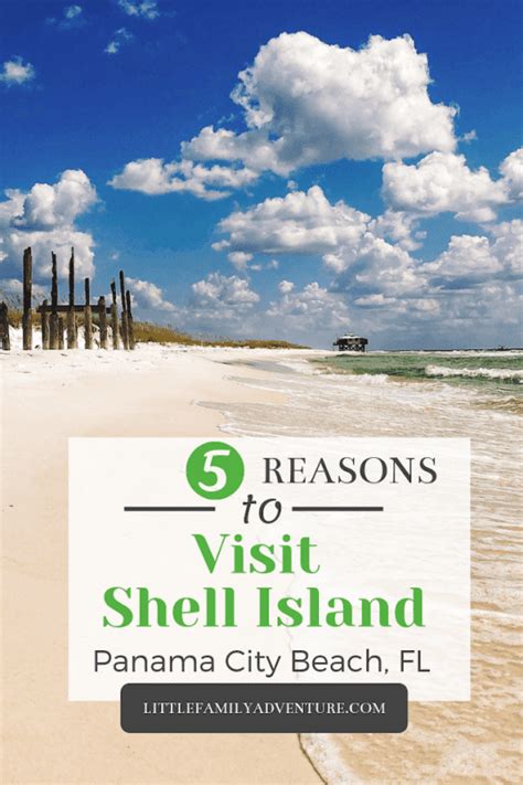 5 Reasons Why You Should Visit Shell Island Panama City Beach Florida