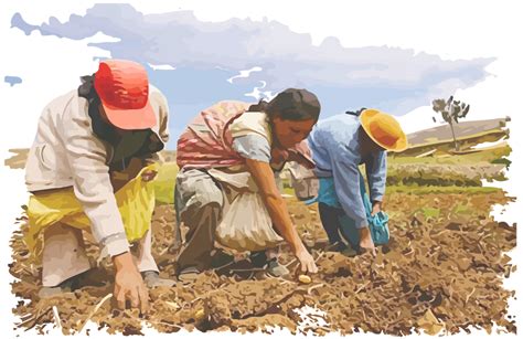 SERIE SITUACIÓN DE LA AGRICULTURA FAMILIAR CAMPESINA E INDÍGENA ILC LAC