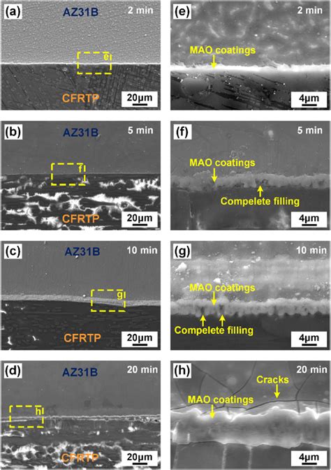 Sem Cross Sectional Morphology Of Mao Az31b Cfrtp Joints A D Mao