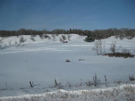 Manitoba winter landscape. - Picture of VIA Rail Canada, Canada ...