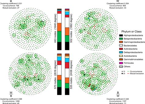 Co Occurrence Network Analysis Of Ungrafted And Grafted Plants