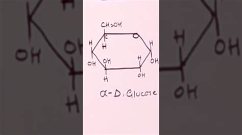 How To Draw Ring Structure Of Glucose Youtube