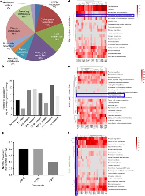 Pan Cancer Analysis Of Transcriptional Metabolic Dysregulation Using The Cancer Genome Atlas