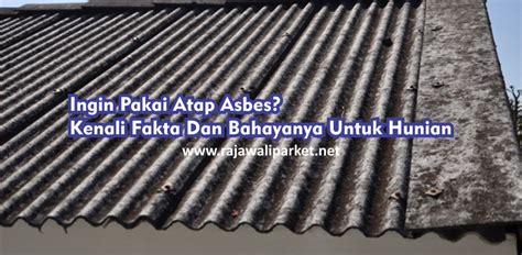 mengenal atap asbes  hunian apakah kuat yuk ketahui