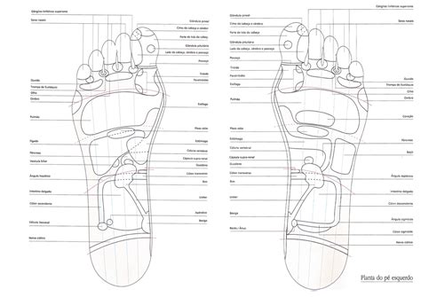 Mapa Dos Pés Reflexologia Podal