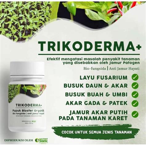 Jual TRIKODERMA BELI 3 GRATIS ALFAGREEN Bio Fungisida Tricoderma Plus