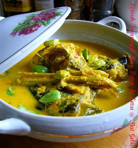 Resepi Ikan Patin Masak Lemak Resepi Tempoyak Ikan Patin Yang Mudah