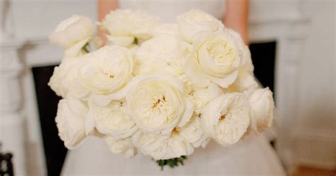 Rosaprima | A White Rose Wedding