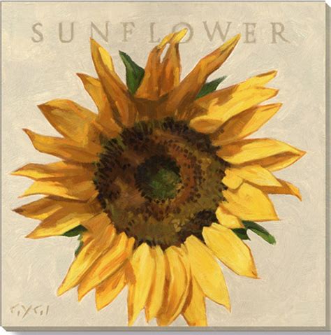 Darren Gygi Home Collection Sunflower Giclee Wall Art By Darren Gygi