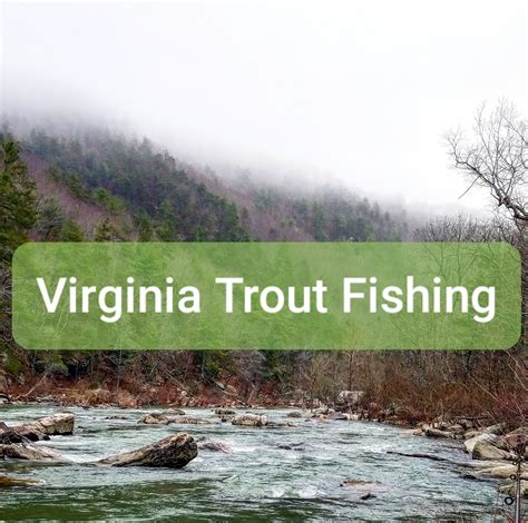 2024 Virginia Trout Stocking Schedule and Fishing Guide