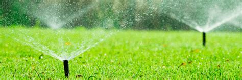 Watering Your Lawn - The Grass Outlet