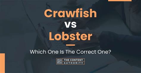 Crawfish Vs Lobster Which One Is The Correct One