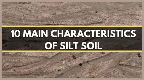 SILT SOIL : 10 MAIN CHARACTERISTICS OF SILT SOIL | SOIL TYPES | SOIL FORMATION | SOIL HEALTH